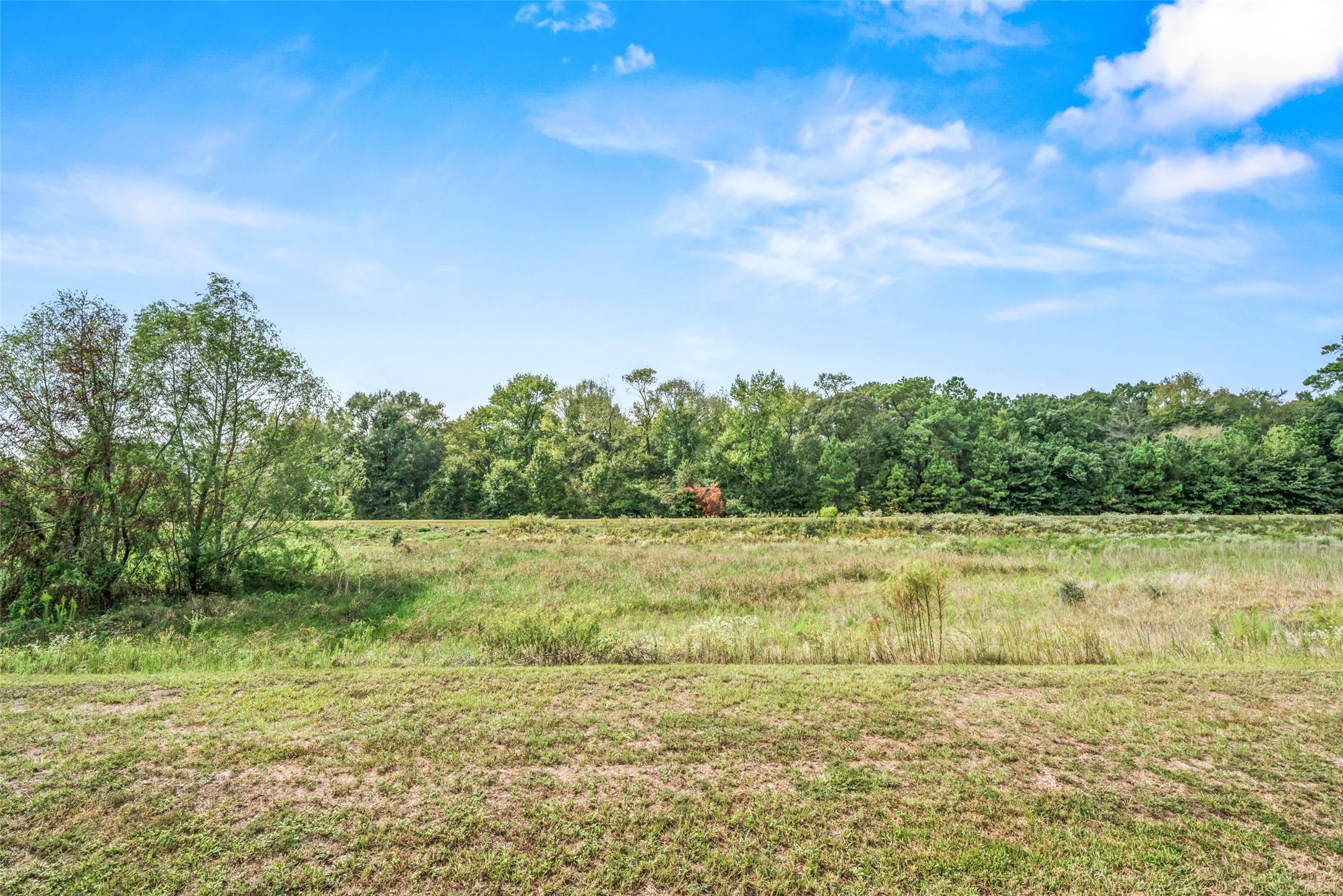 9107 Nina Road Conroe, TX 77304 - Photo 29 of 30 No back neighbors!