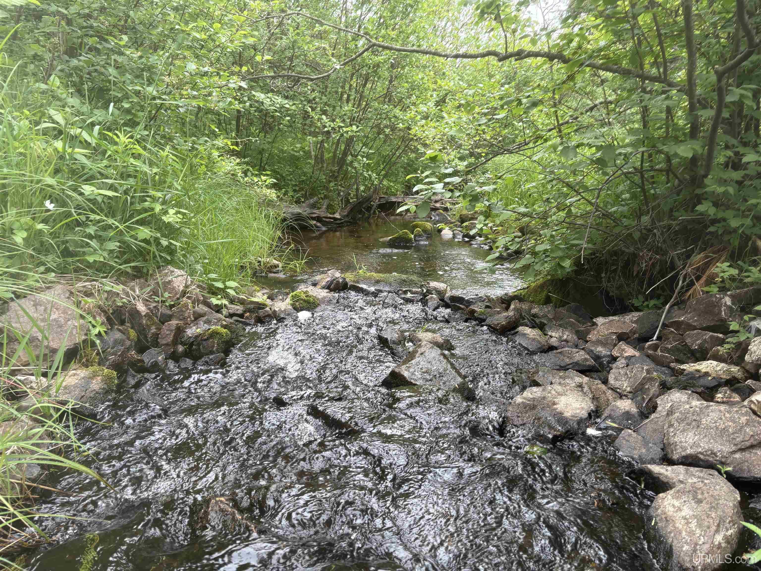 Tbd Rock River Road Deerton, MI 49822 - Photo 10 of 12