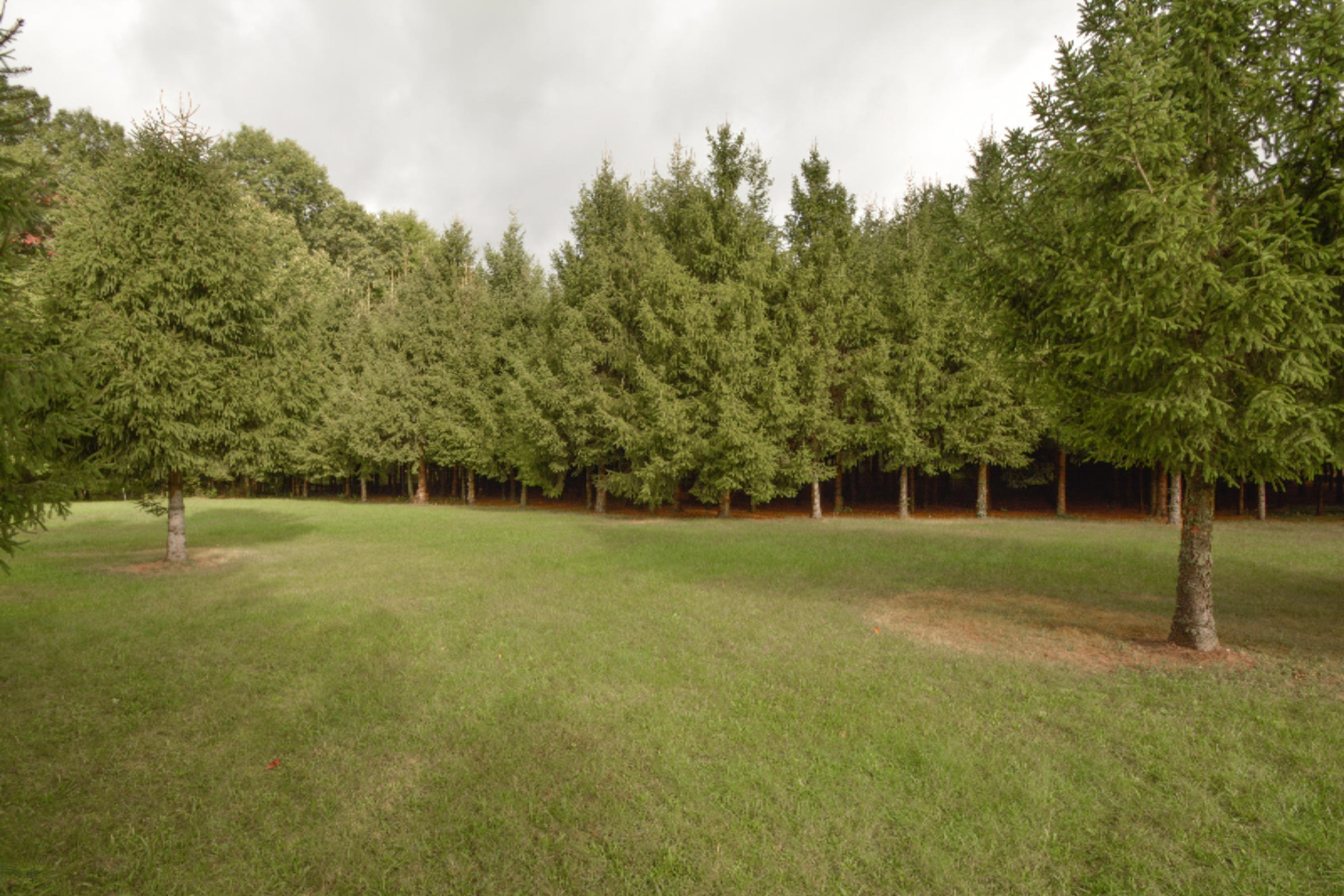 1377 Meachem Road Battle Creek, MI 49017 - Photo 24 of 30 1377 Meachem Rd. BC-126