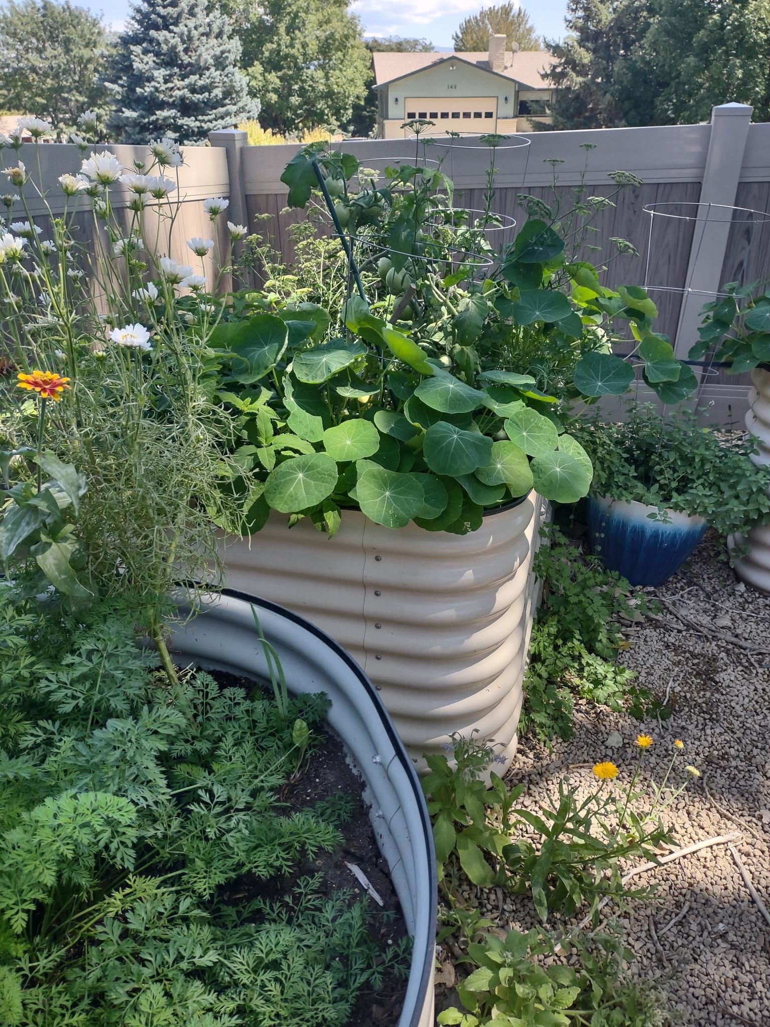 2893 Sunridge Road Grand Junction, CO 81503 - Photo 29 of 42