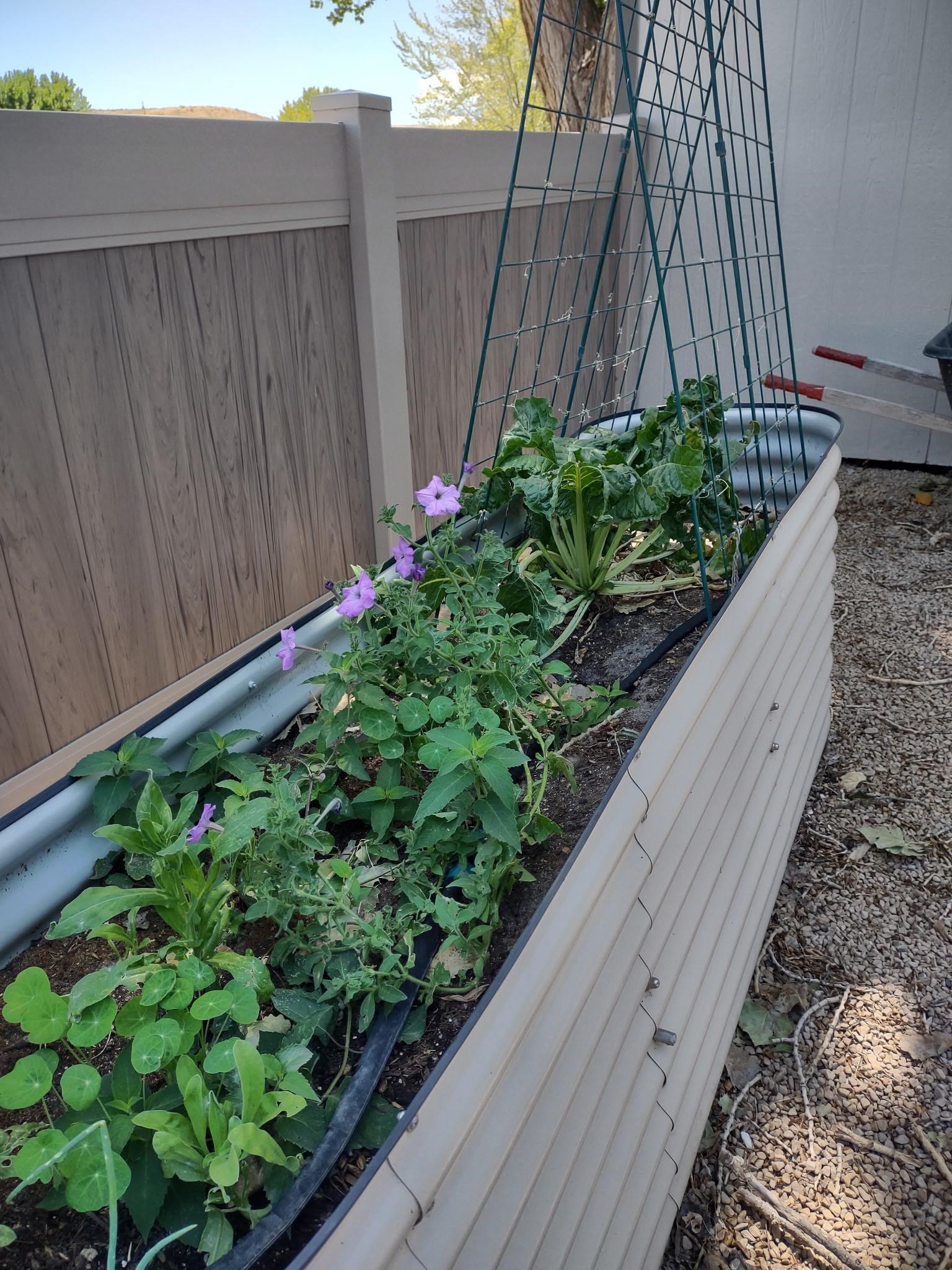 2893 Sunridge Road Grand Junction, CO 81503 - Photo 30 of 42