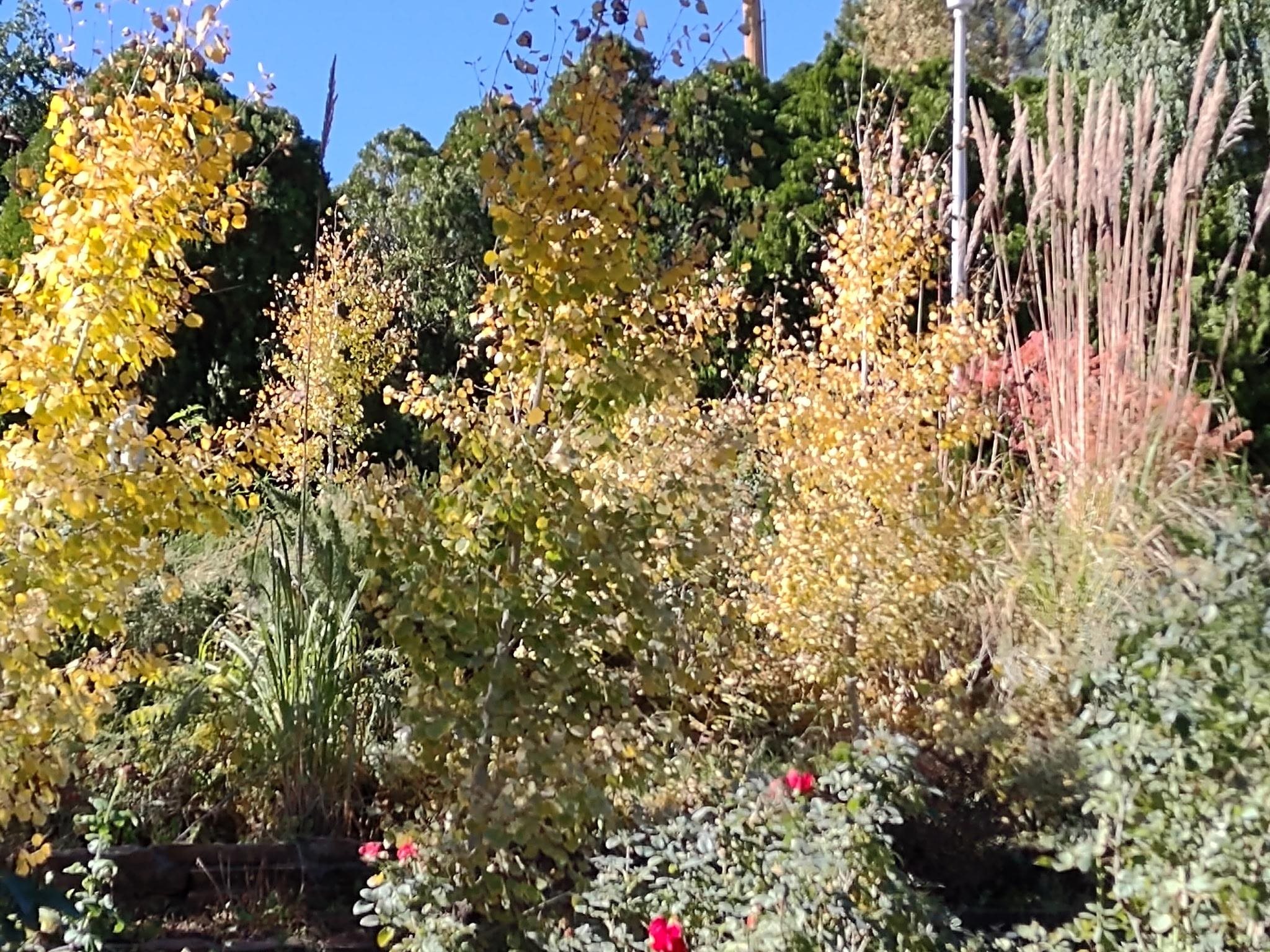 2893 Sunridge Road Grand Junction, CO 81503 - Photo 31 of 42