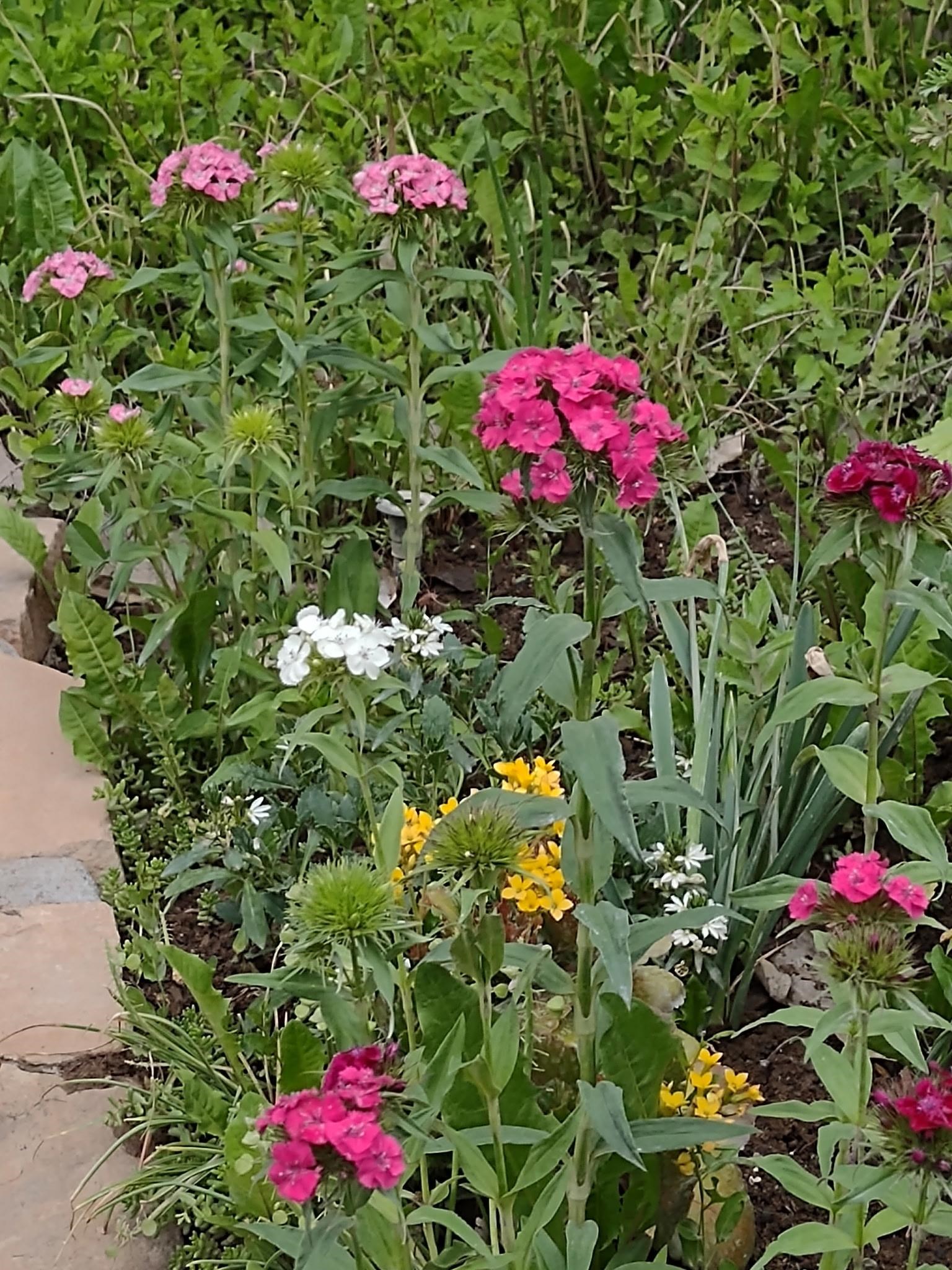 2893 Sunridge Road Grand Junction, CO 81503 - Photo 33 of 42