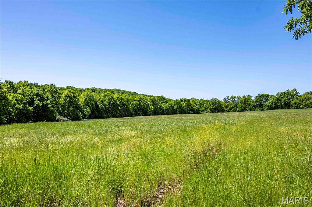 2126 Krenning Road Beaufort, MO 63013 - Photo 69 of 99