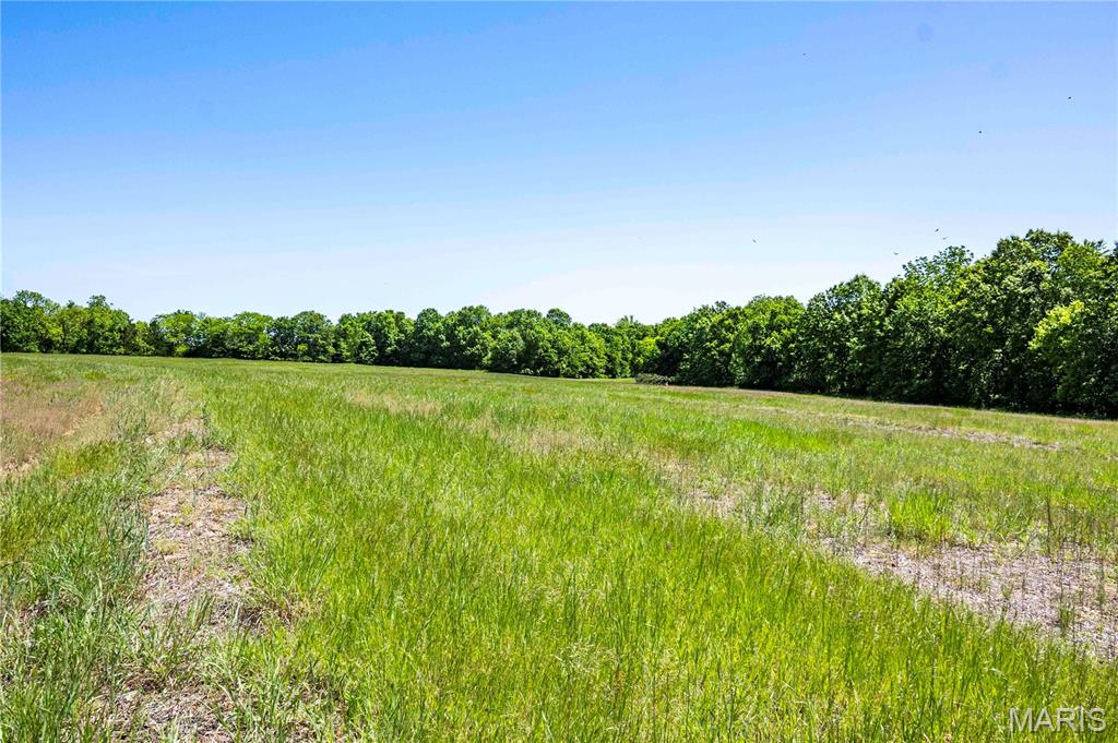 2126 Krenning Road Beaufort, MO 63013 - Photo 70 of 99