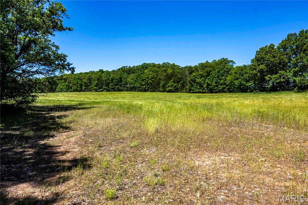 2126 Krenning Road Beaufort, MO 63013 - Photo 74 of 99