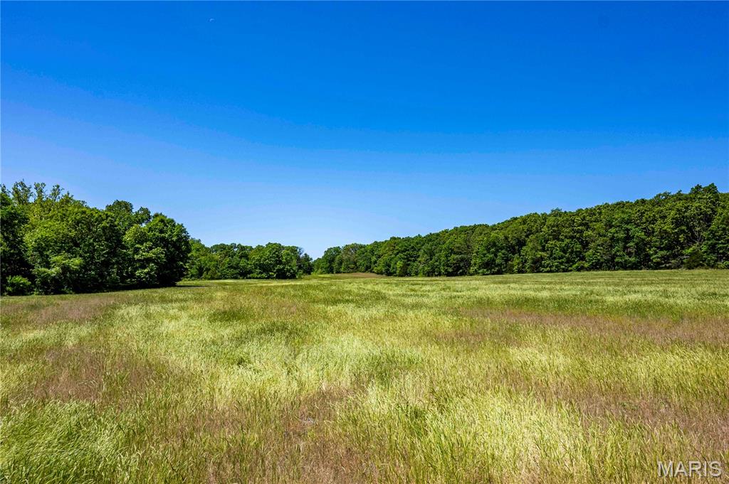 2126 Krenning Road Beaufort, MO 63013 - Photo 75 of 99