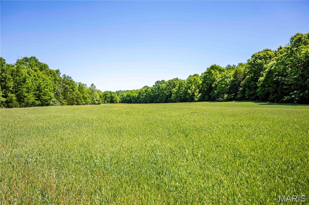 2126 Krenning Road Beaufort, MO 63013 - Photo 83 of 99
