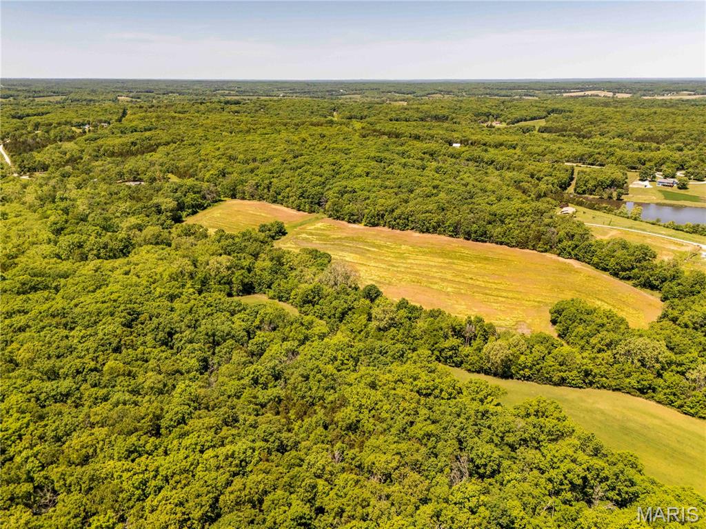 2126 Krenning Road Beaufort, MO 63013 - Photo 84 of 99