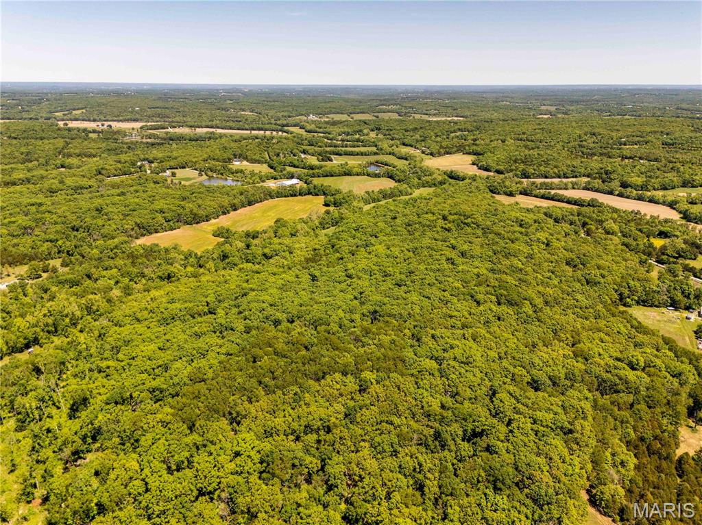 2126 Krenning Road Beaufort, MO 63013 - Photo 91 of 99