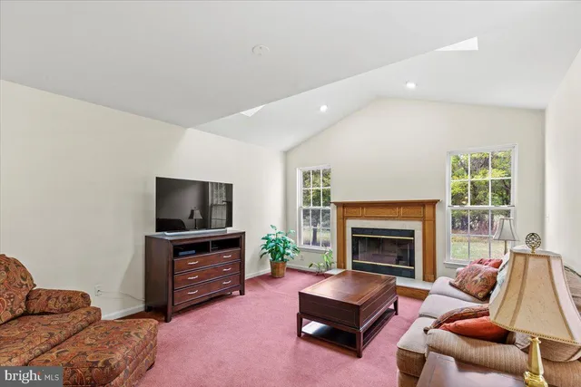a living room with furniture a flat screen tv and a potted plant