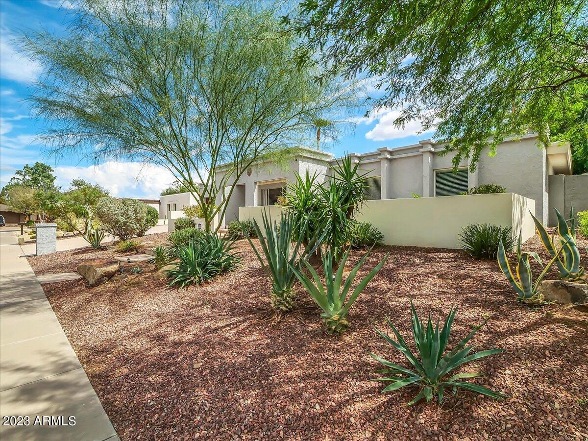 3351 East Las Rocas Drive Phoenix, AZ 85028 - Photo 4 of 56