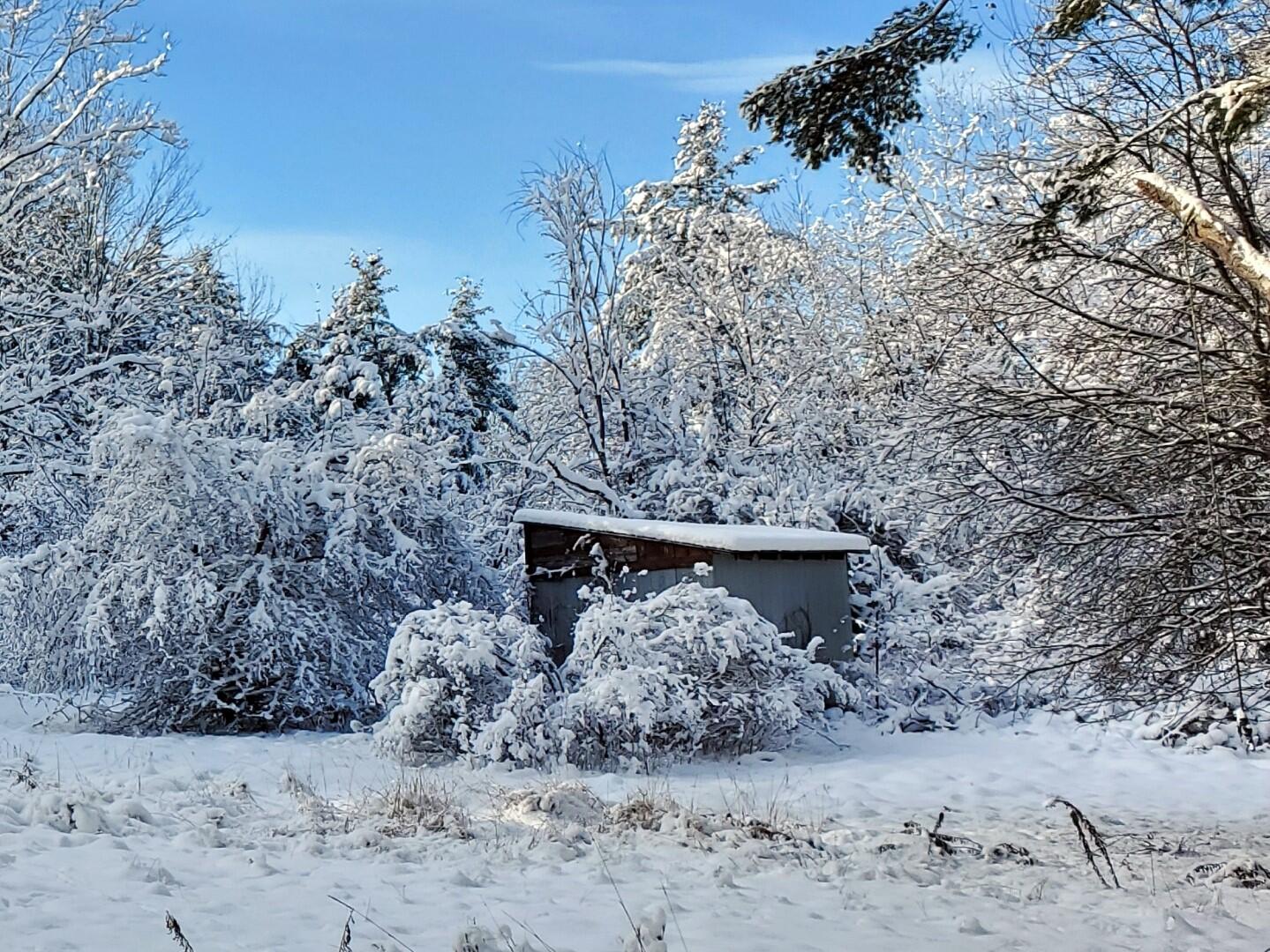 177 Clark Road Albion, ME 04910 - Photo 15 of 63 177 Clark Rd Albion 12-7-027 (Large)