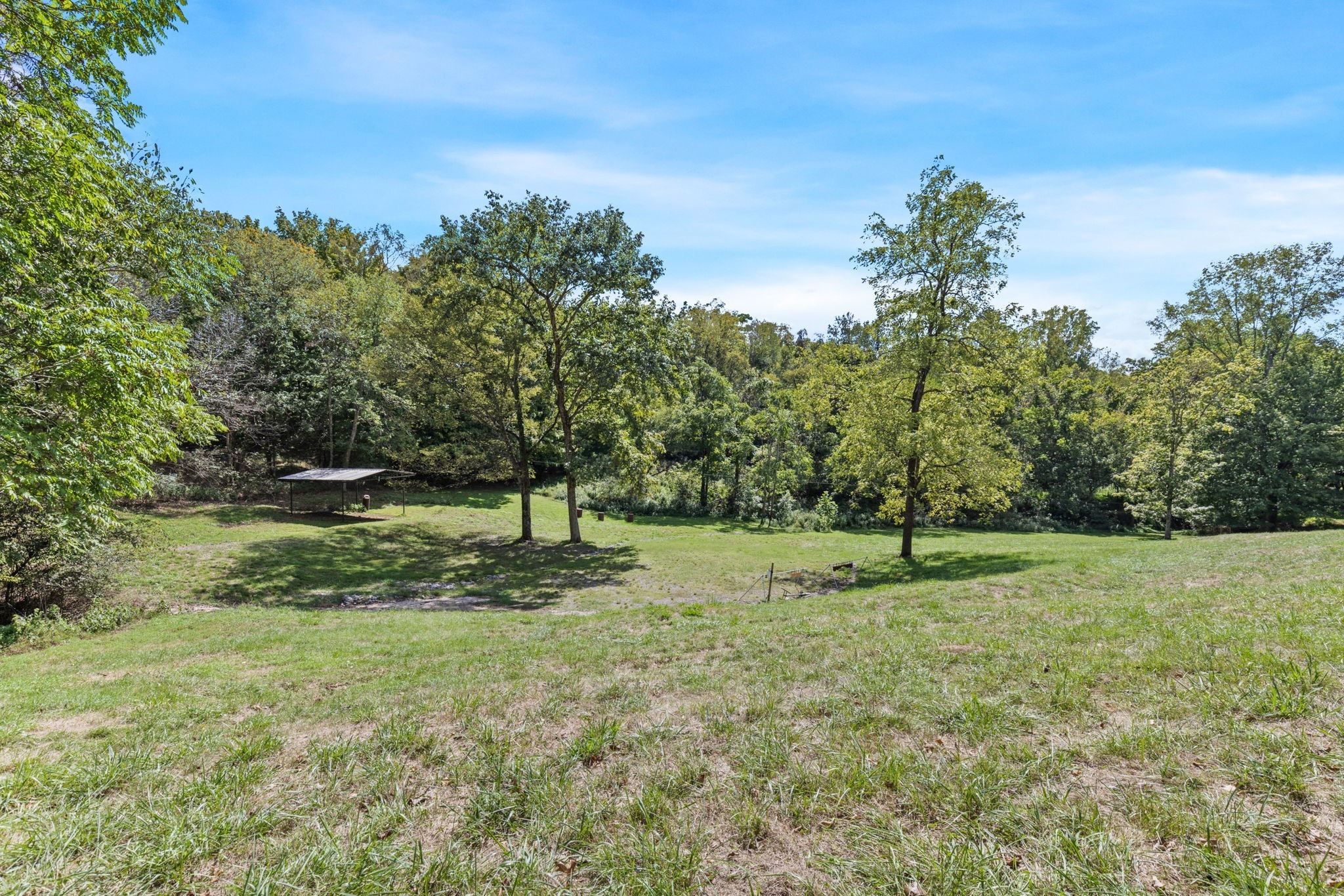 1818 Preacher Holt Road Mount Pleasant, TN 38474 - Photo 35 of 38 a view of field with trees in the background