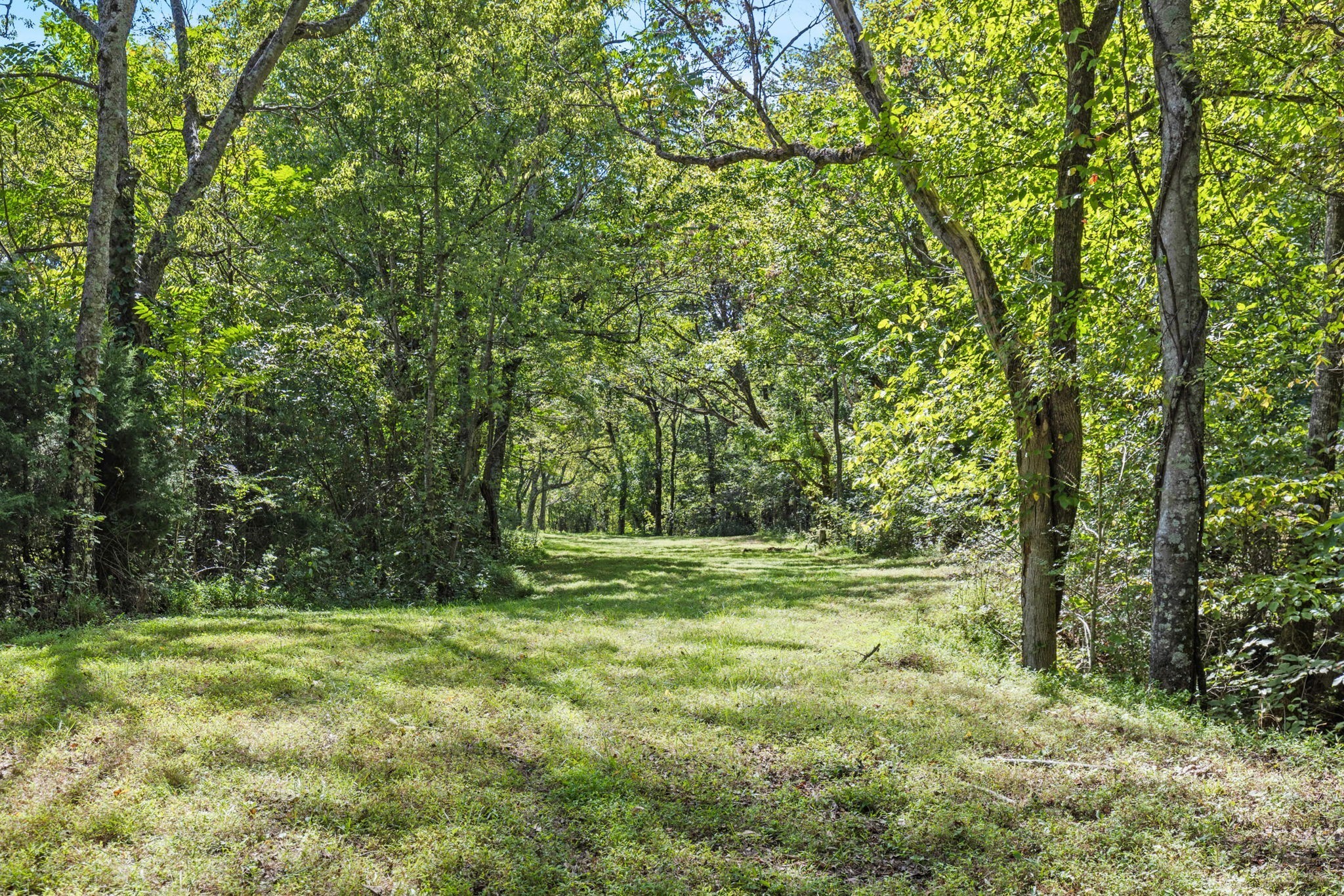 1818 Preacher Holt Road Mount Pleasant, TN 38474 - Photo 37 of 38 a view of outdoor space with trees all around