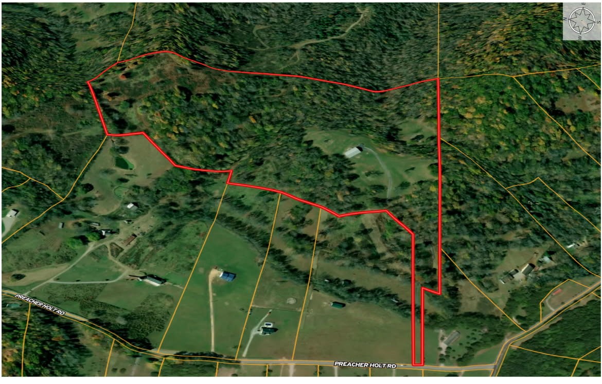 1818 Preacher Holt Road Mount Pleasant, TN 38474 - Photo 5 of 38 a view of a yard