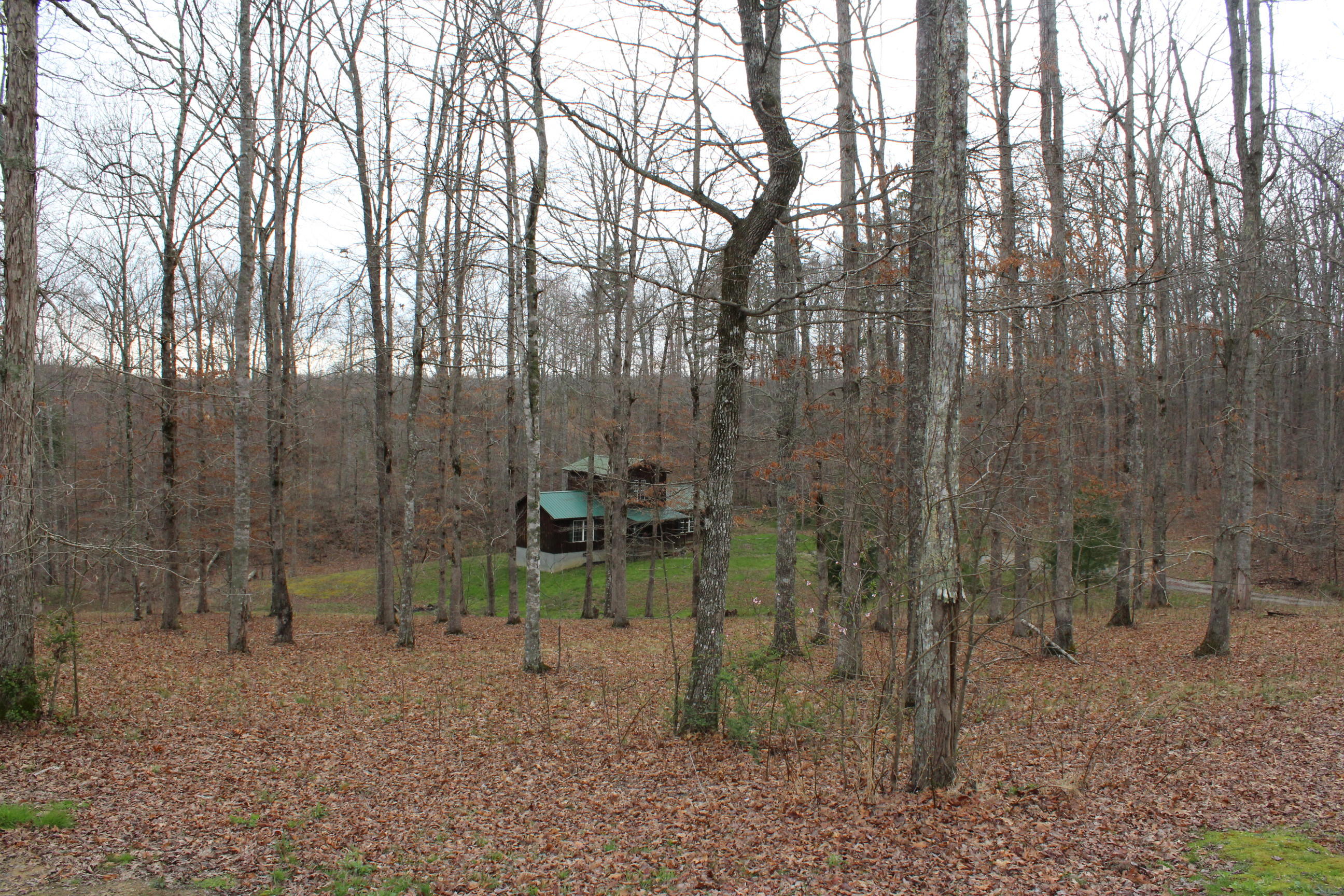 140 Copley Cemetery Road Jamestown, TN 38556 - Photo 23 of 32 023