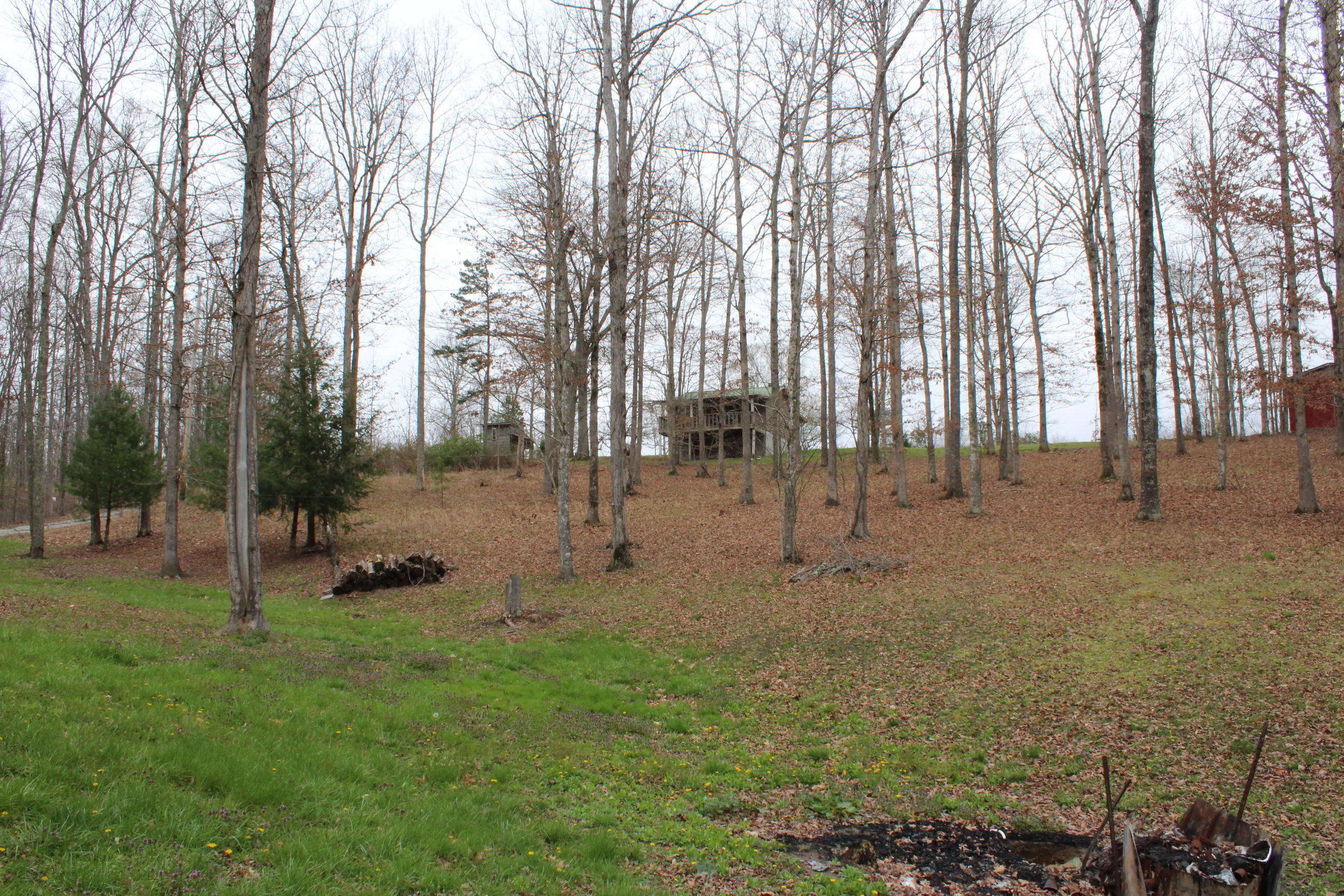 140 Copley Cemetery Road Jamestown, TN 38556 - Photo 6 of 32 006