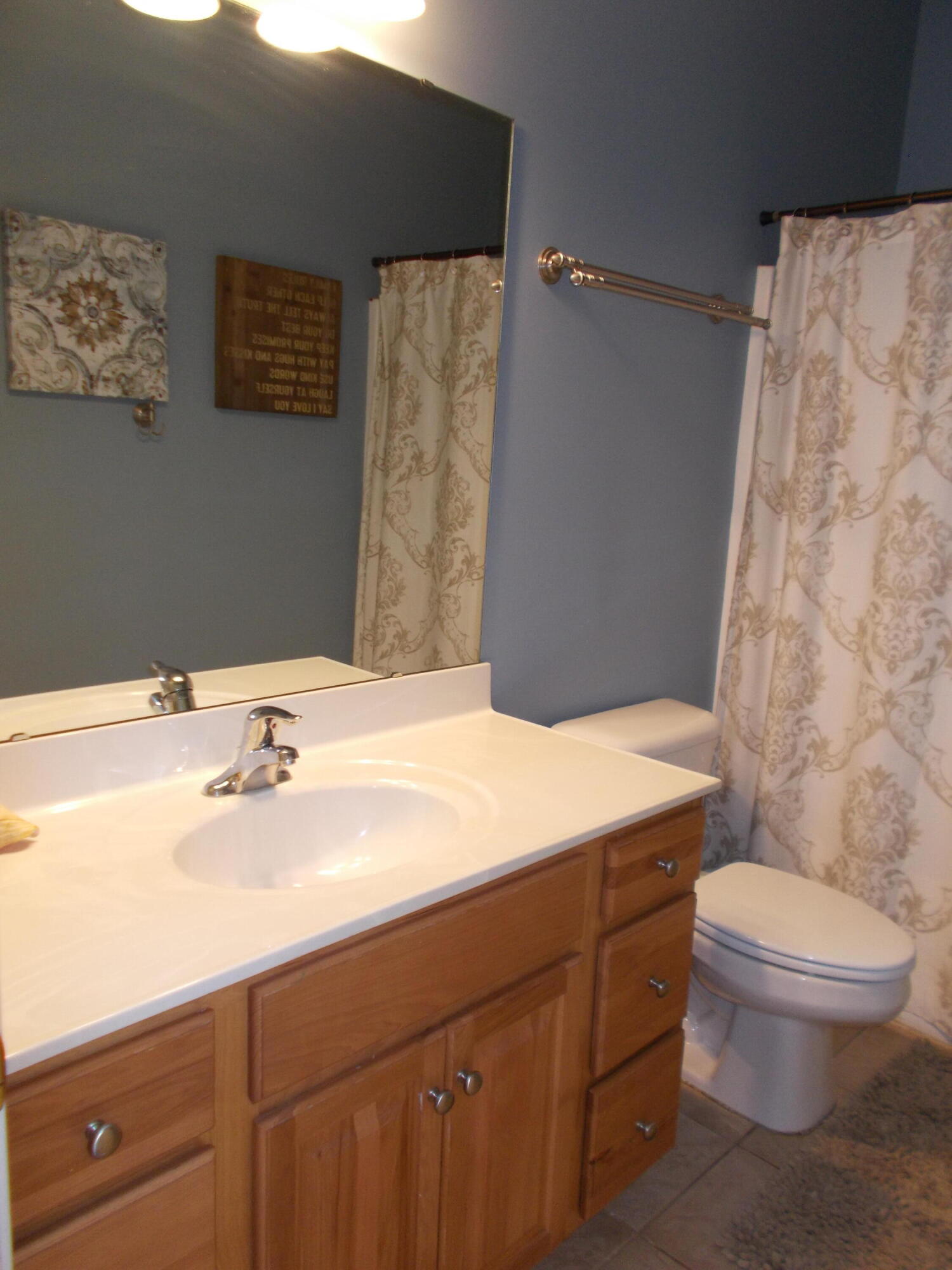 4420 Bethlehem Road Boones Mill, VA 24065 - Photo 30 of 43 a bathroom with a sink a toilet and shower