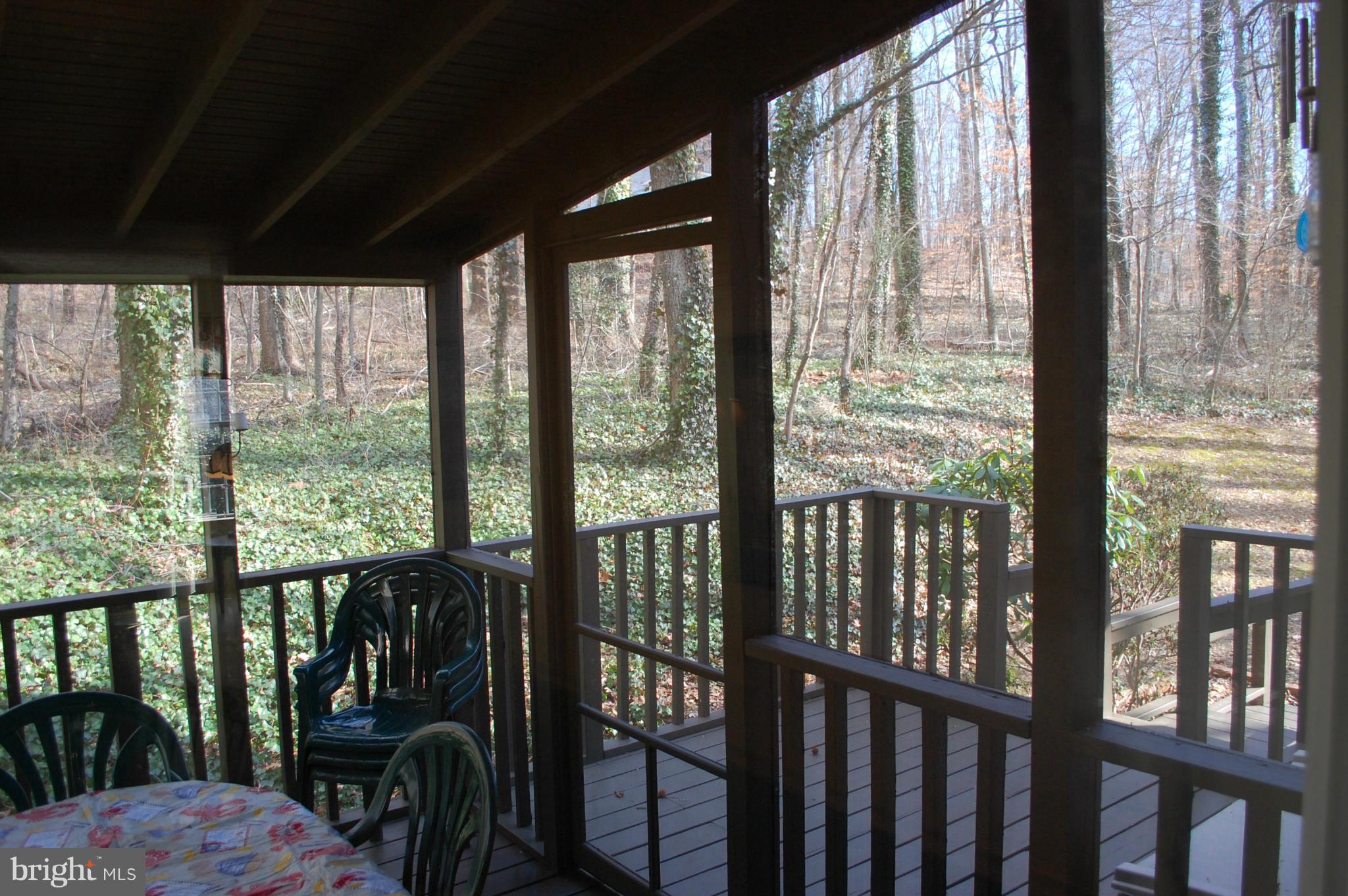 51 Sheridan Road Arnold, MD 21012 - Photo 25 of 28 Exterior (Rear)