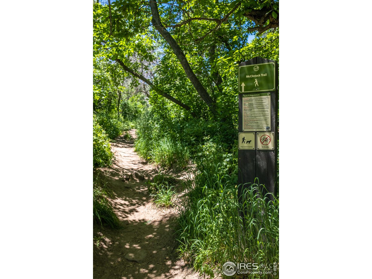 375 16th Street Boulder, CO 80302 - Photo 28 of 30 a picture of a small yard