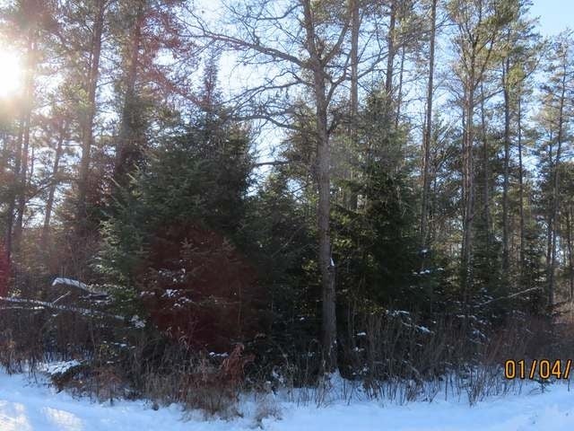 Lot 1 Center Road Tomahawk, WI 54487 - Photo 10 of 15 Gallery Image 10