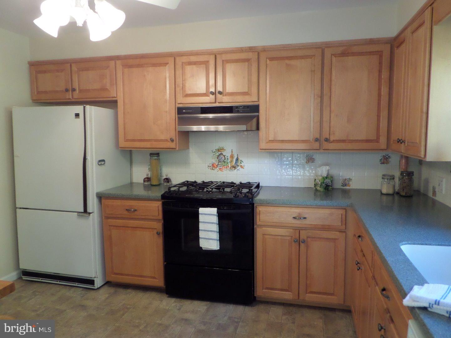 2039 Fortune Road Glenside, PA 19038 - Photo 14 of 25 Gallery Image 14