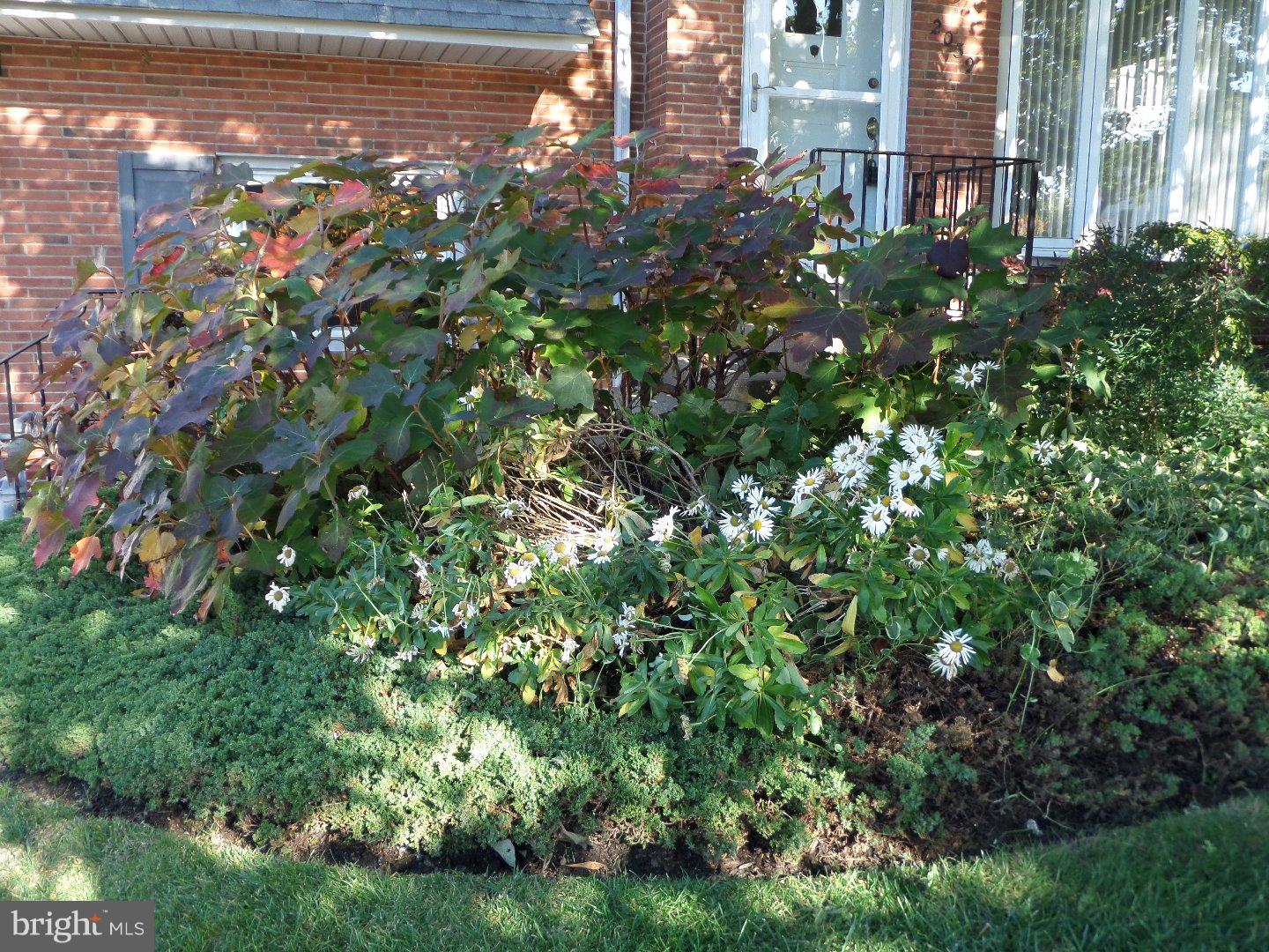 2039 Fortune Road Glenside, PA 19038 - Photo 3 of 25 Gallery Image 3