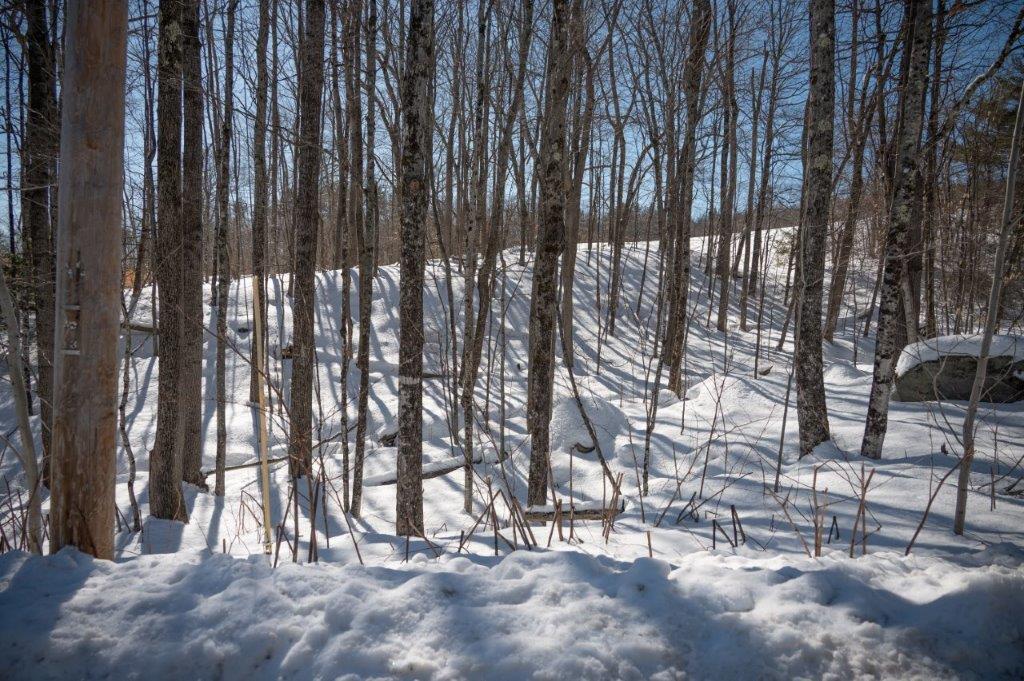 0 Heath Road, Unit LOTB Poland, ME 04274 - Photo 4 of 17 72 Heath Road-17
