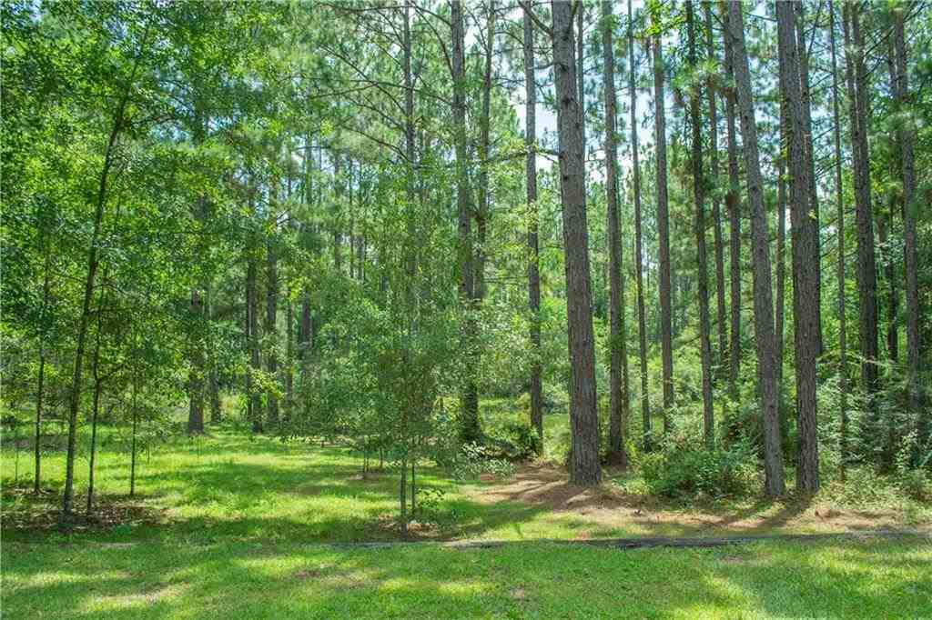 68248 Walker Road Kentwood, LA 70444 - Photo 22 of 24 Gallery Image 22