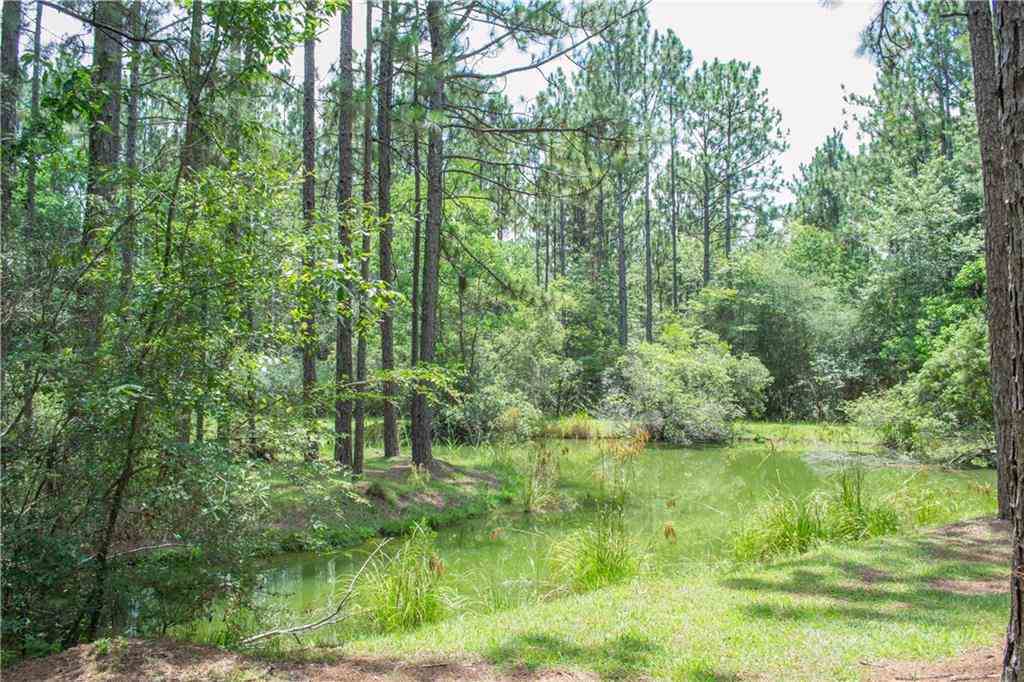 68248 Walker Road Kentwood, LA 70444 - Photo 23 of 24 Gallery Image 23