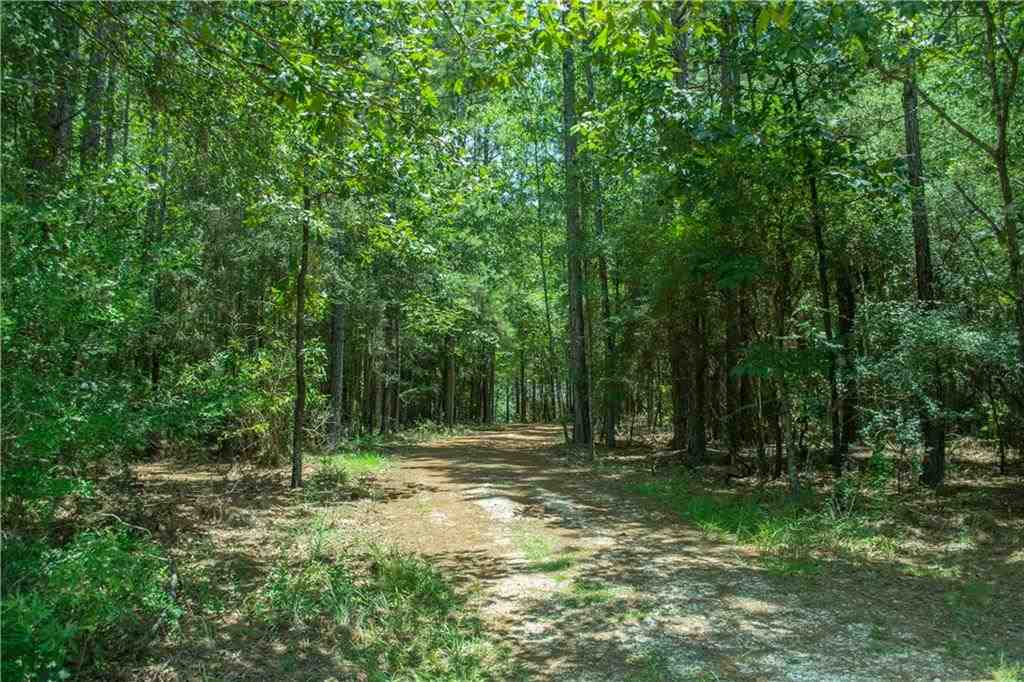 68248 Walker Road Kentwood, LA 70444 - Photo 24 of 24 Gallery Image 24
