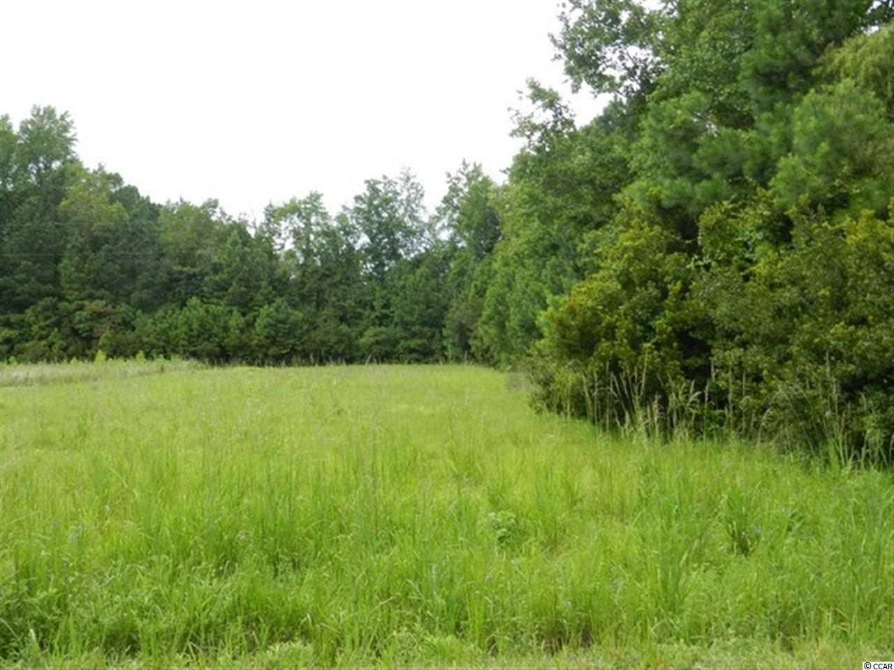 Tbd Duberry Farm Road Little River, SC 29566 - Photo 2 of 8 Gallery Image 2
