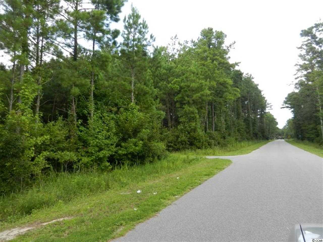 Tbd Duberry Farm Road Little River, SC 29566 - Photo 3 of 8 Gallery Image 3