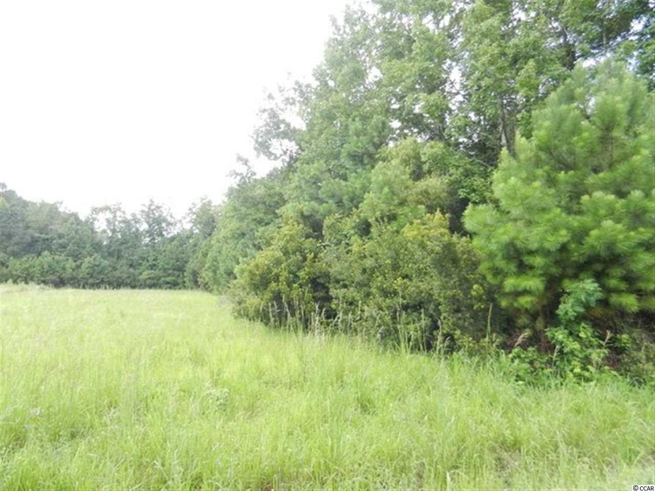 Tbd Duberry Farm Road Little River, SC 29566 - Photo 4 of 8 Gallery Image 4