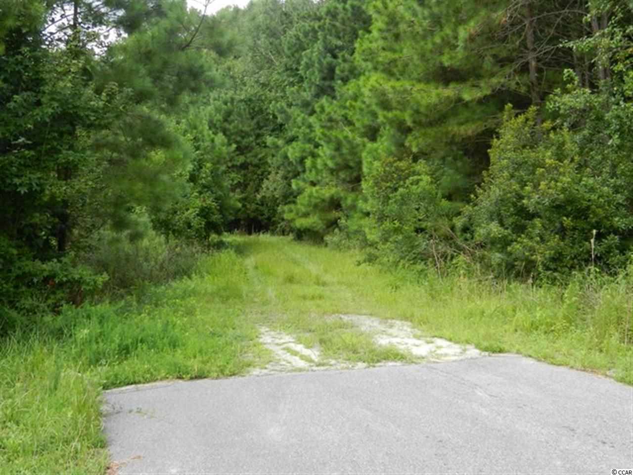 Tbd Duberry Farm Road Little River, SC 29566 - Photo 5 of 8 Gallery Image 5