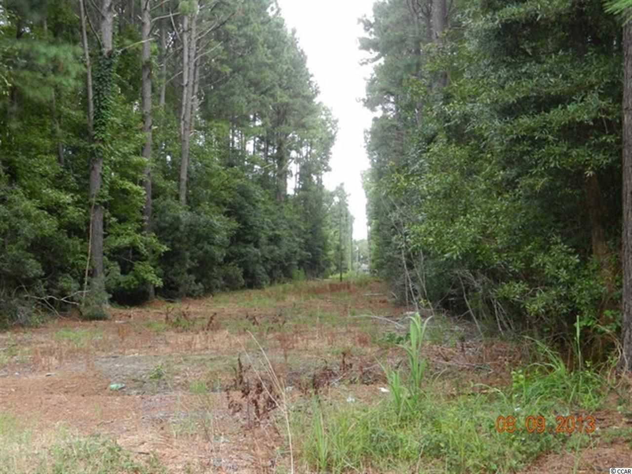 Tbd Duberry Farm Road Little River, SC 29566 - Photo 6 of 8 Gallery Image 6