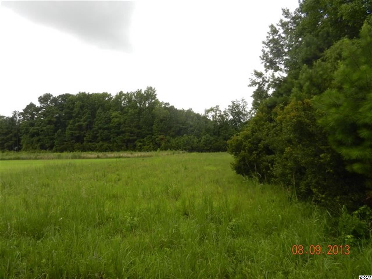 Tbd Duberry Farm Road Little River, SC 29566 - Photo 7 of 8 Gallery Image 7