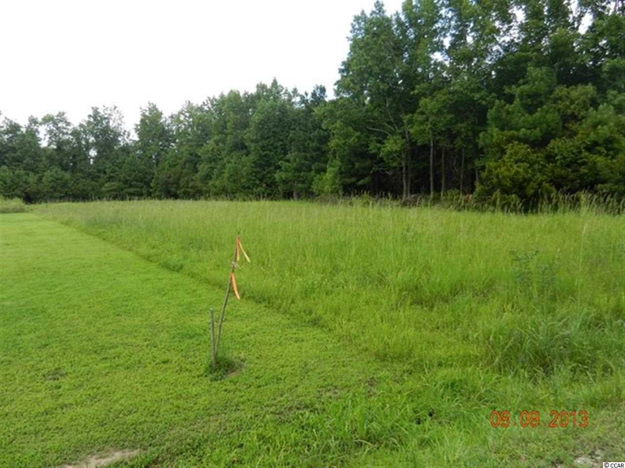 Tbd Duberry Farm Road Little River, SC 29566 - Photo 8 of 8 Gallery Image 8