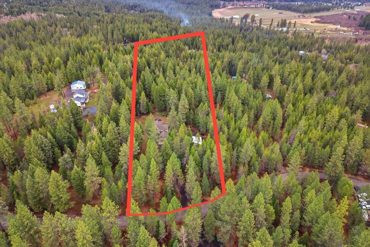 23039 North Crescent Road Chattaroy, WA 99003 - Photo 5 of 47