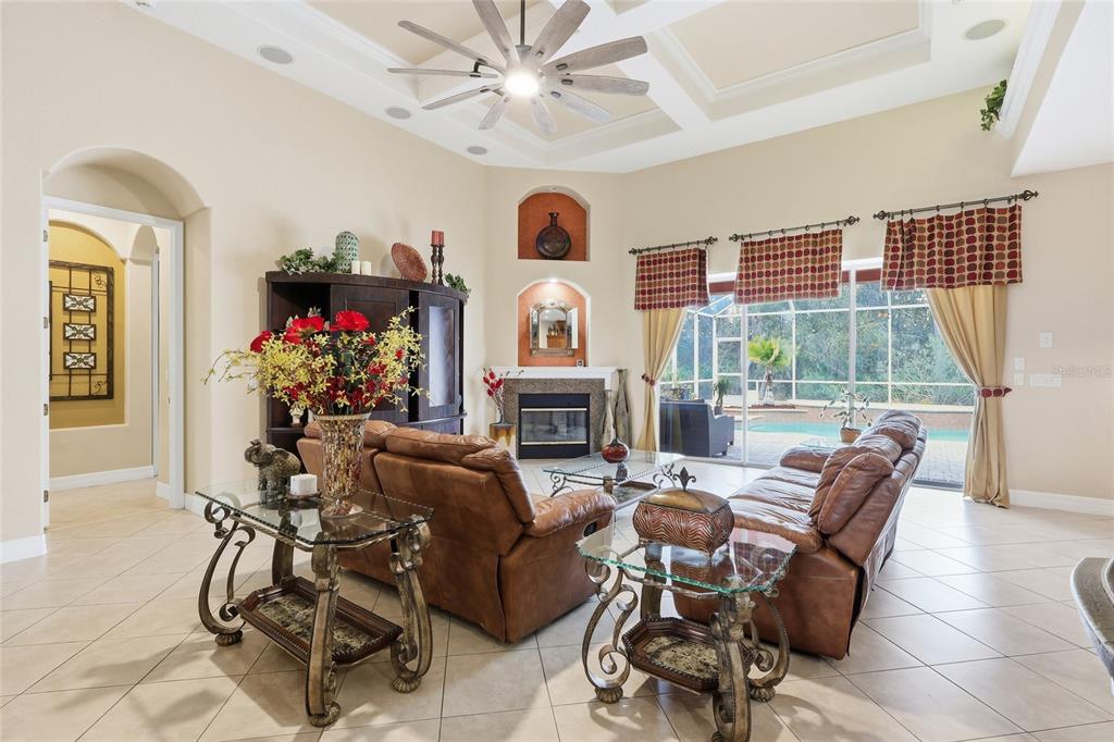 11749 Newberry Grove Loop Riverview, FL 33579 - Photo 14 of 54 a living room with furniture a chandelier and a fireplace