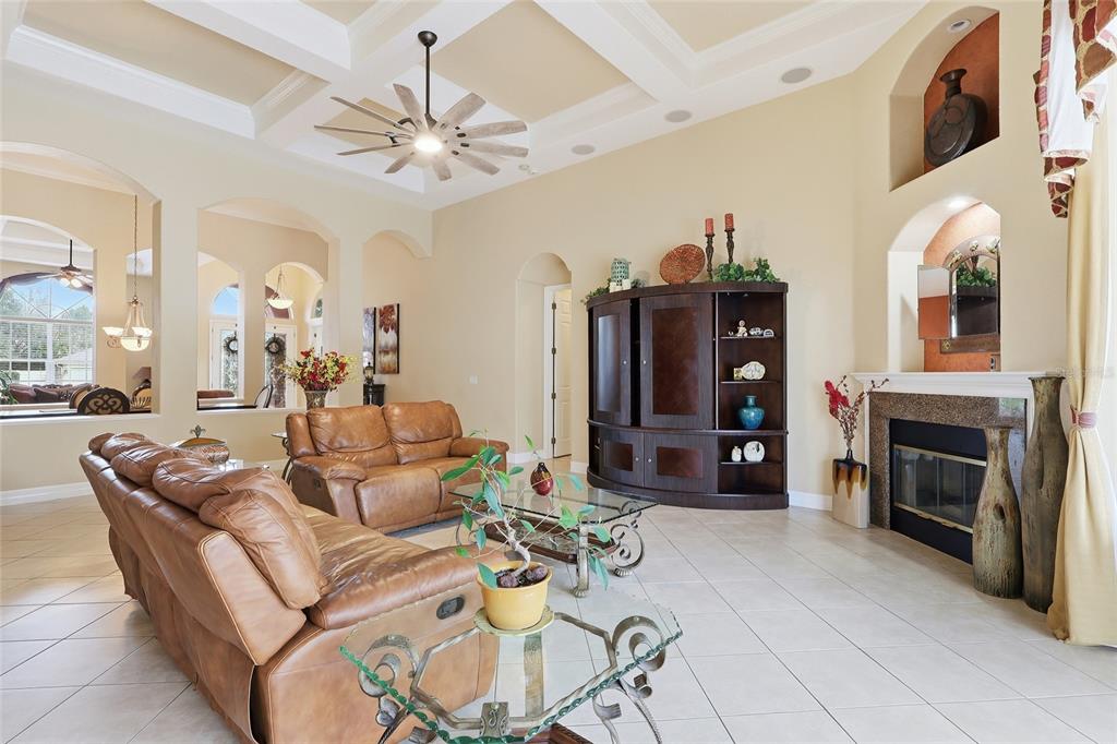 11749 Newberry Grove Loop Riverview, FL 33579 - Photo 15 of 54 a living room with furniture a fireplace and a chandelier