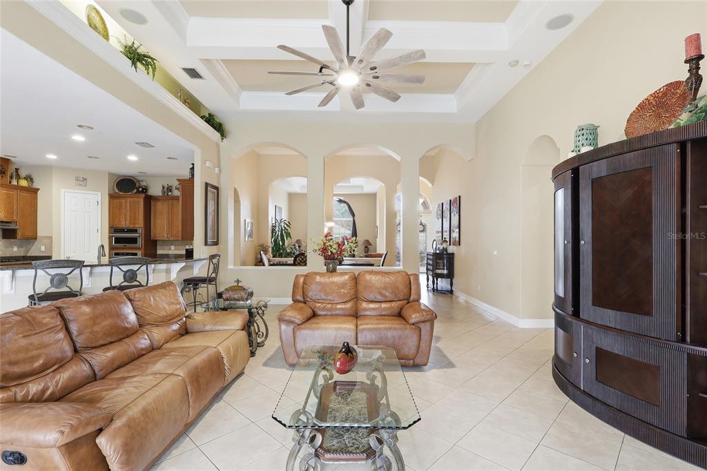 11749 Newberry Grove Loop Riverview, FL 33579 - Photo 17 of 54 a living room with furniture a fireplace and a chandelier