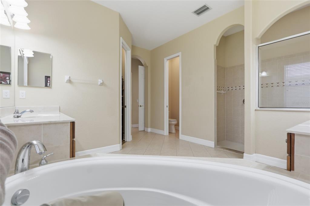 11749 Newberry Grove Loop Riverview, FL 33579 - Photo 23 of 54 a bathroom with a sink and a mirror