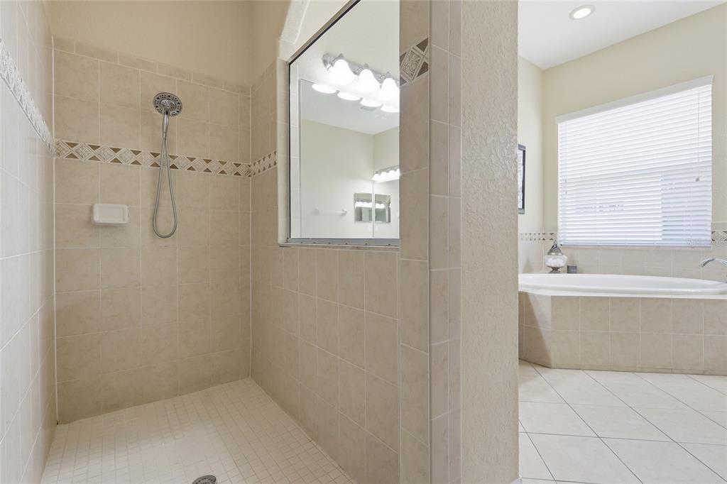 11749 Newberry Grove Loop Riverview, FL 33579 - Photo 24 of 54 a bathroom with a bathtub a shower and a sink
