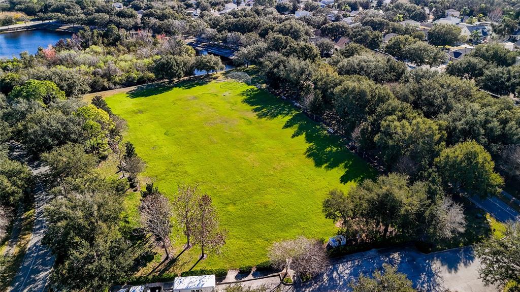 11749 Newberry Grove Loop Riverview, FL 33579 - Photo 50 of 54 a view of a lake with a houses