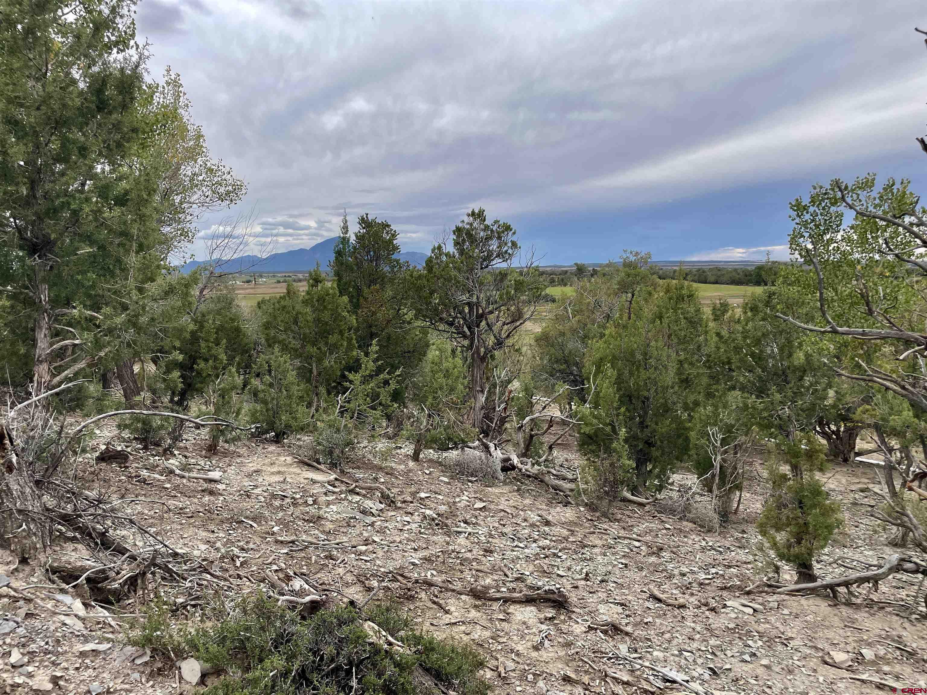 23690 Rd P Dolores, CO 81323 - Photo 15 of 44 Gallery Image 15