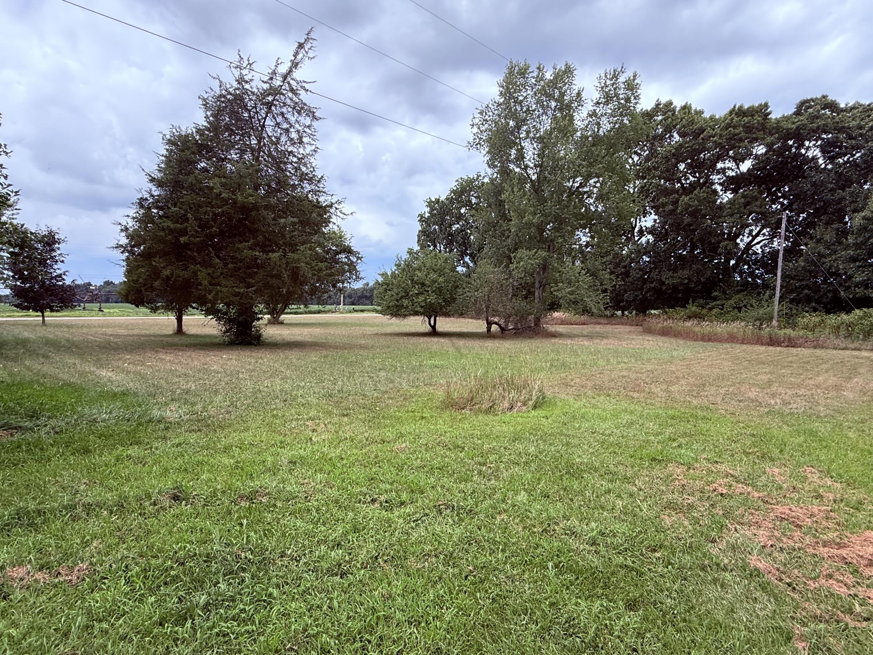 54539 Buckhorn Road Three Rivers, MI 49093 - Photo 4 of 6 IMG_1013