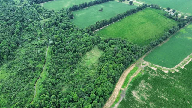 $550,000 | 54539 Buckhorn Road, Three Rivers, MI 49093