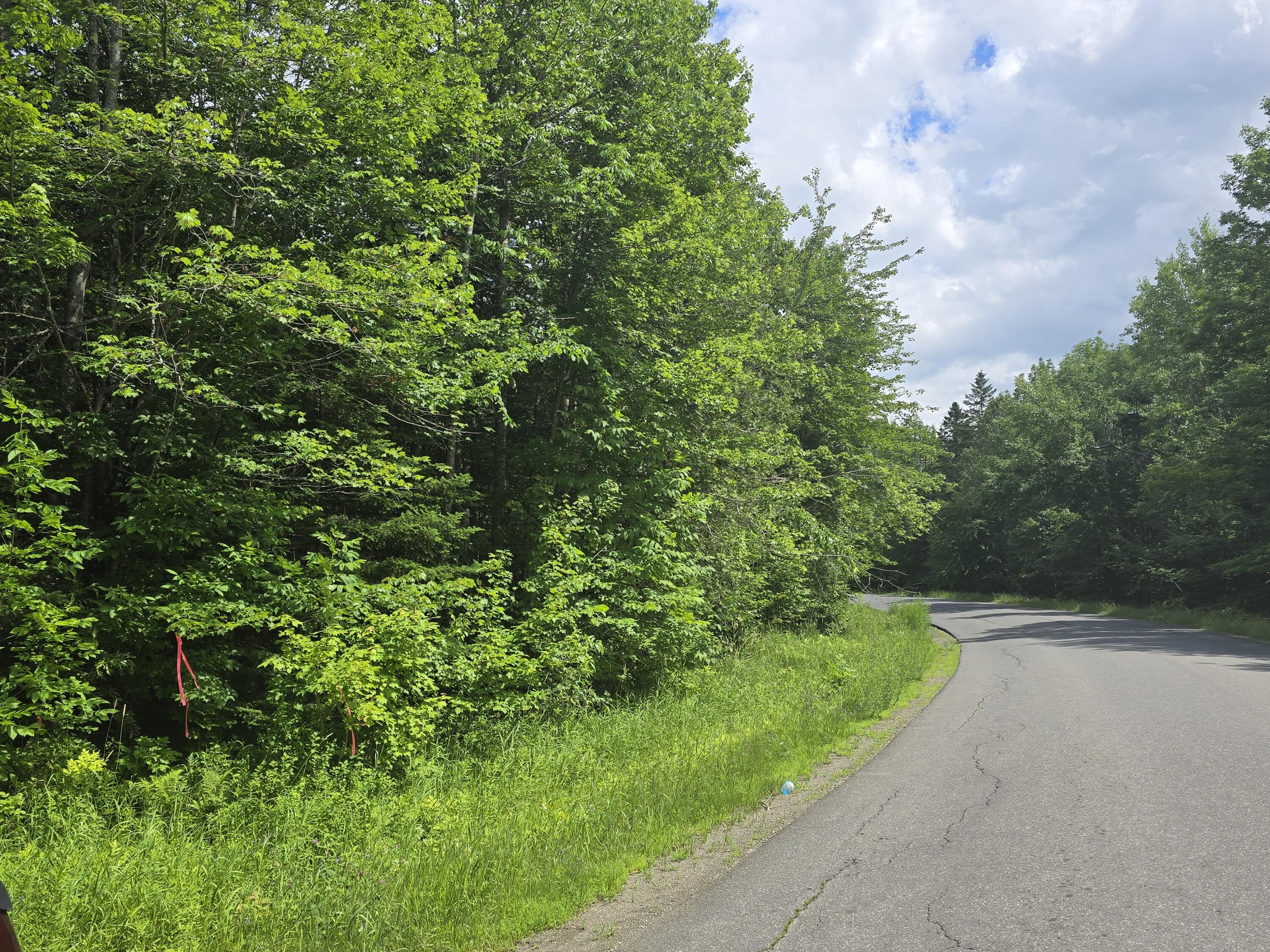 0 Oliver Hill Road Garland, ME 04939 - Photo 11 of 12 20240627_142109